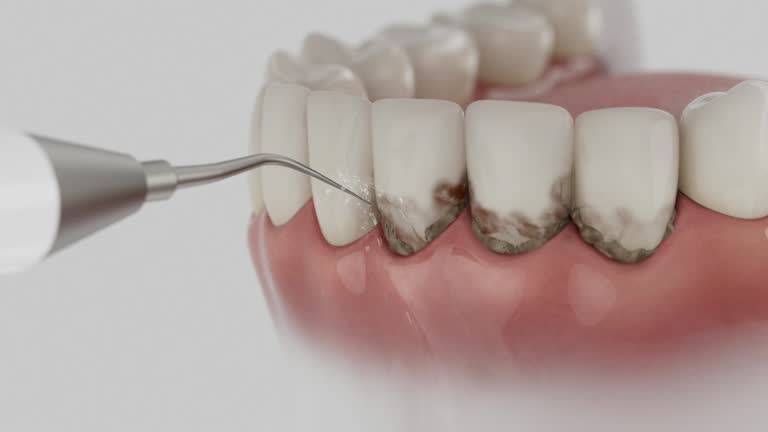 Reliable Dental contractor in Thibodaux, LA by Dentist Open Now
